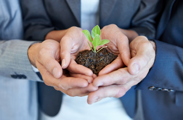 苗を両手で持っている様子